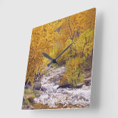 Colorful Autumn Aspen Trees Quadratische Wanduhr (Winkel)
