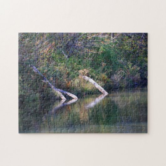 Colorful Autumn Lake Logs and Reflection Scene Puzzle (Horizontal)