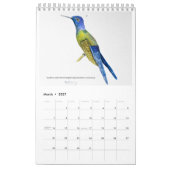 Colorful Birds Calendar 2026 Kalender (Mär 2027)