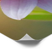 Colorful Bokeh Blume Poster (Ecke)