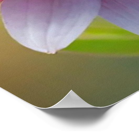 Colorful Bokeh Blume Poster (Ecke)