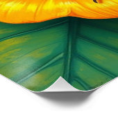 colorful butterfly art poster (Ecke)