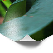 colorful butterfly in the garden fotodruck (Ecke)