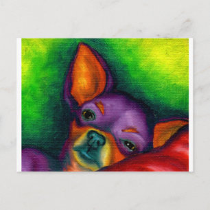 Colorful Chihuahua Postkarte