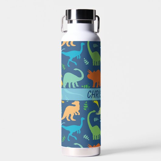 Colorful Dinosaur Trinkflasche (Vorne)