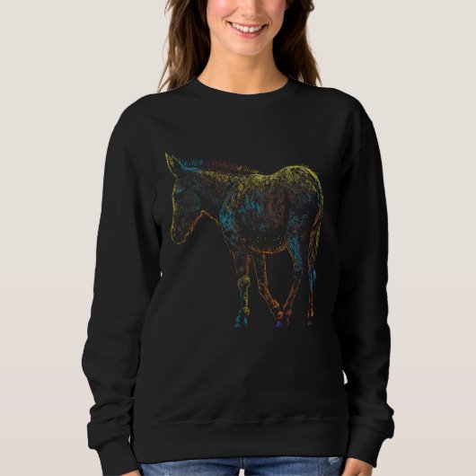 Colorful Donkey Paint Drip Art Design Donkey Lover Sweatshirt (Vorderseite)