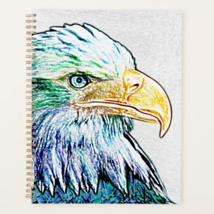 Colorful Eagle Sketch Planer