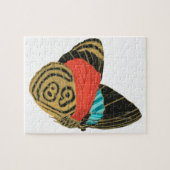Colorful exotic butterfly  butterfly  puzzle (Horizontal)
