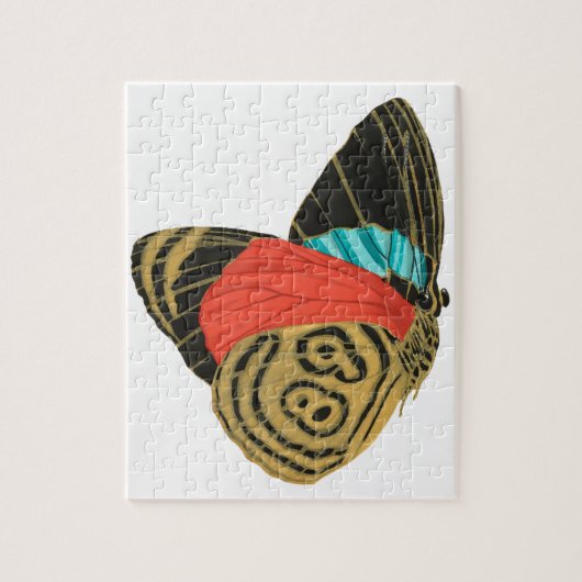 Colorful exotic butterfly  butterfly  puzzle (Vertikal)