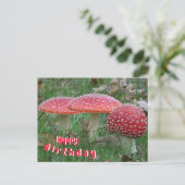 Colorful Fly Amanitas Happy Birthday Postcard Postkarte (Stehend Vorderseite)