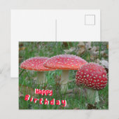 Colorful Fly Amanitas Happy Birthday Postcard Postkarte (Vorne/Hinten)