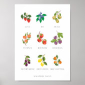Colorful Fruit of the Spirit Wall Hanging Poster (Vorne)