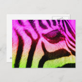Colorful Funky Zebra Postkarte (Vorne/Hinten)