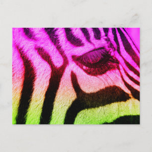 Colorful Funky Zebra Postkarte