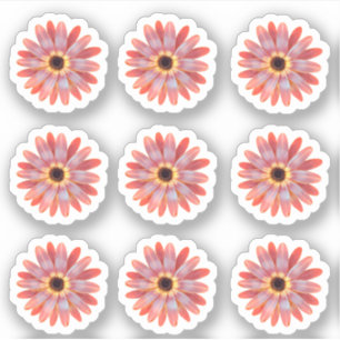 Colorful Gerbera Daisy Floral Sticker