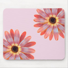 Colorful Gerbere Daisy Floral Mouse Pad Mousepad