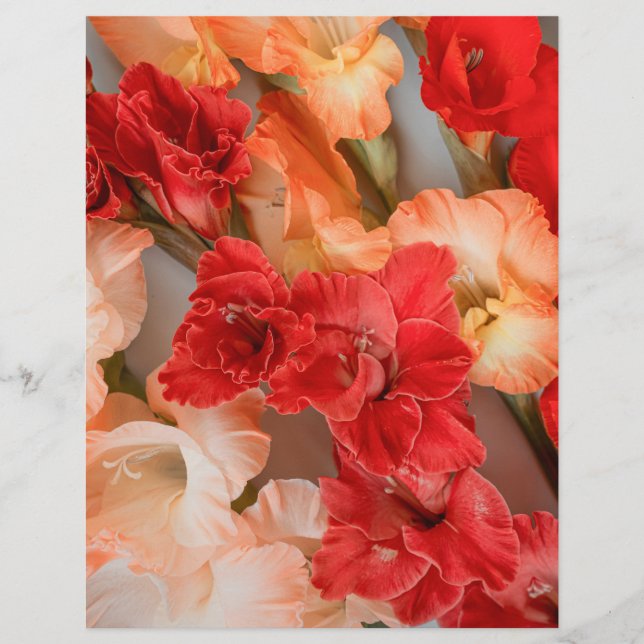 Colorful Gladiolus Flowers Scrapbook Paper (Vorderseite)