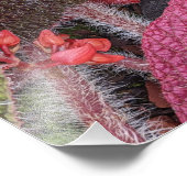 Colorful Hairy Begonia Floral Fotodruck (Ecke)