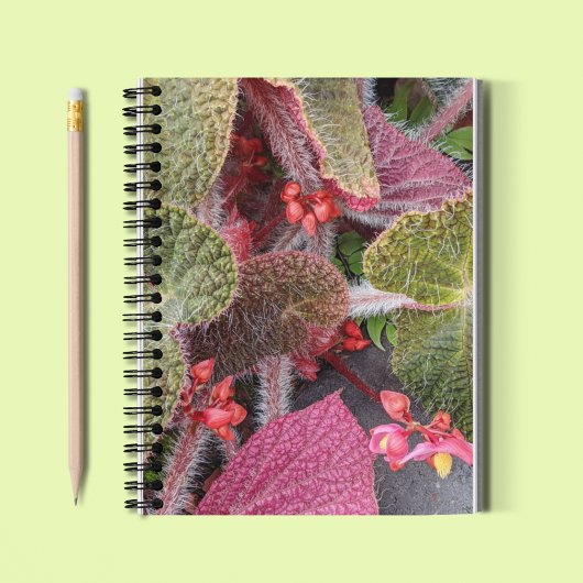 Colorful Hairy Begonia Floral Notizblock