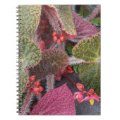 Colorful Hairy Begonia Floral Notizblock (Vorderseite)