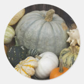 Colorful Harvest Pumpkins Runder Aufkleber (Vorderseite)