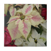 Colorful Holiday Poinsettias Floral Fliese (Vorderseite)