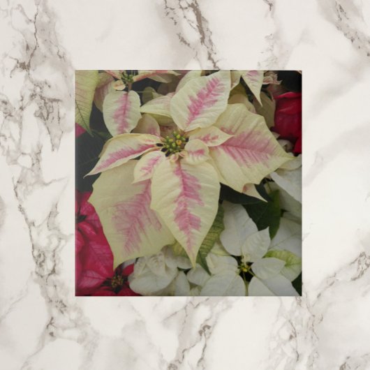 Colorful Holiday Poinsettias Floral Fliese