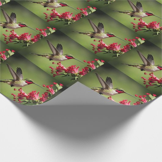 Colorful Hummingbird Geschenkpapier (Ecke)