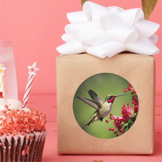Colorful Hummingbird Runder Aufkleber (Party)