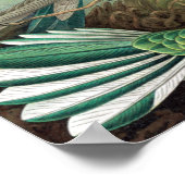 Colorful Hummingbirds von Ernst Haeckel Poster (Ecke)