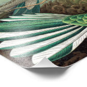 Colorful Hummingbirds von Ernst Haeckel Poster (Ecke)