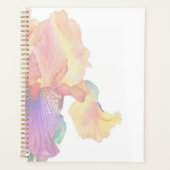 Colorful Iris Planer (Vorderseite)