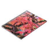 Colorful Laceleaf Japanese Maple Tree Notizblock (Linke Seite)