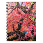 Colorful Laceleaf Japanese Maple Tree Notizblock (Vorderseite)