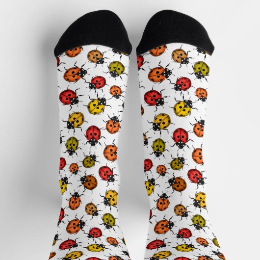 Colorful ladybugs on white socken (Oben)
