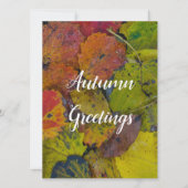 Colorful leaves after rain karte (Vorderseite)