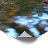 Colorful Leaves Poster (Ecke)