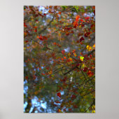 Colorful Leaves Poster (Vorne)