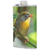 Colorful Leiothrix / Pekin Robin Songbird Flachmann (Links)