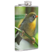 Colorful Leiothrix / Pekin Robin Songbird Flachmann (Rechts)