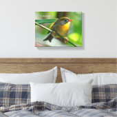 Colorful Leiothrix / Pekin Robin Songbird Leinwanddruck (Insitu (Schlafzimmer))