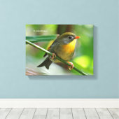 Colorful Leiothrix / Pekin Robin Songbird Leinwanddruck (Insitu (Holzboden))