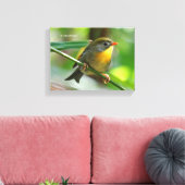 Colorful Leiothrix / Pekin Robin Songbird Leinwanddruck (Insitu (Wohnzimmer))