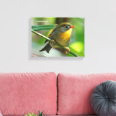 Colorful Leiothrix / Pekin Robin Songbird Leinwanddruck (Insitu (Wohnzimmer))