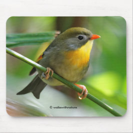 Colorful Leiothrix / Pekin Robin Songbird Mousepad
