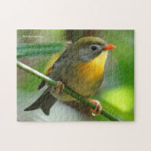 Colorful Leiothrix / Pekin Robin Songbird Puzzle (Horizontal)