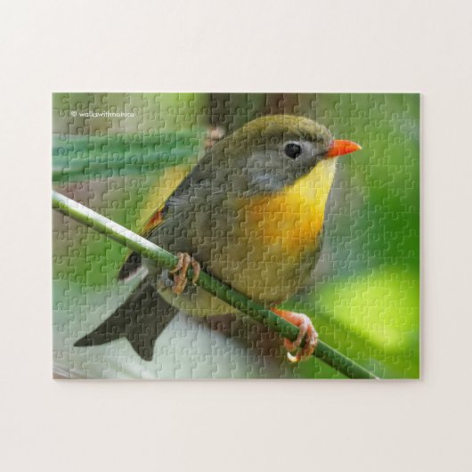 Colorful Leiothrix / Pekin Robin Songbird Puzzle (Horizontal)