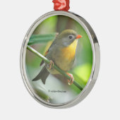 Colorful Leiothrix Pekin Robin Songbird Silbernes Ornament (Links)