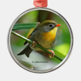 Colorful Leiothrix Pekin Robin Songbird Silbernes Ornament