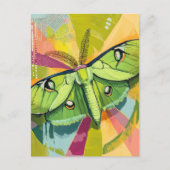Colorful Luna Moth Painting Postkarte (Vorderseite)